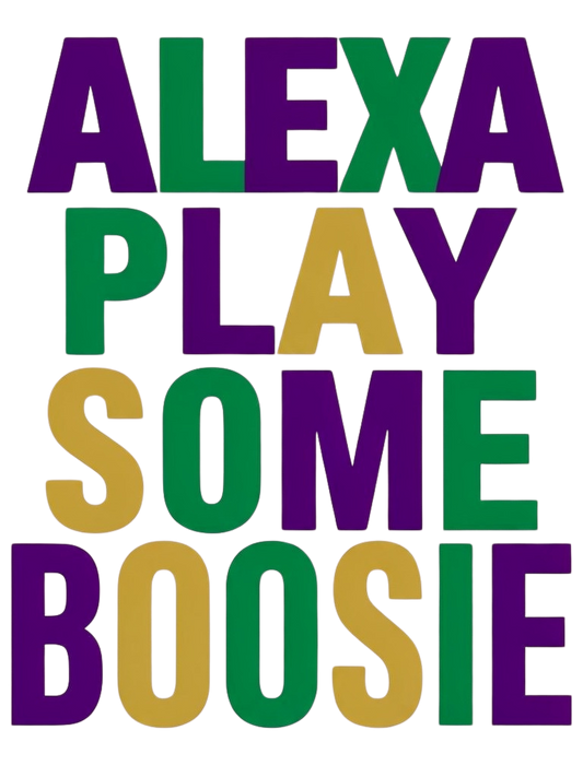 Alexa Play Some Boosie DTF